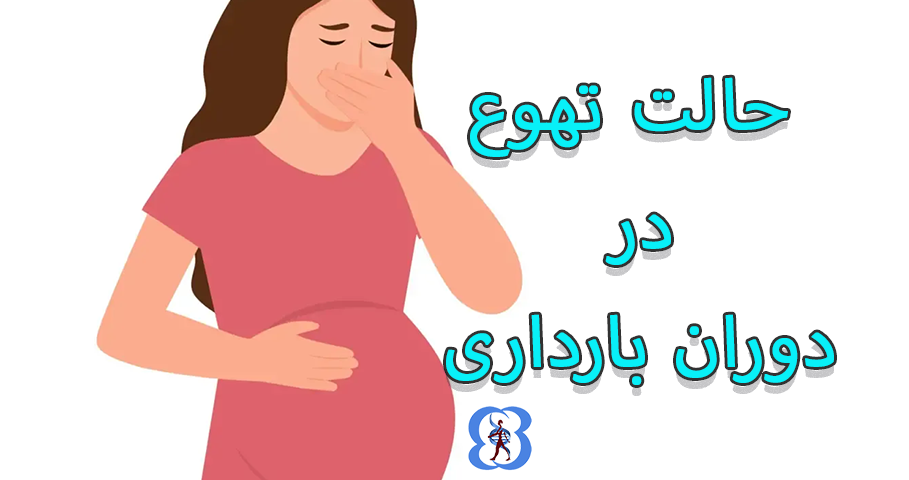 nausea during pregnancy