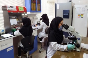 آزمایش پرولاکتین
